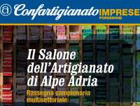 SALONE DELL'ARTIGIANATO ALPE ADRIA 2010<BR>
Conti